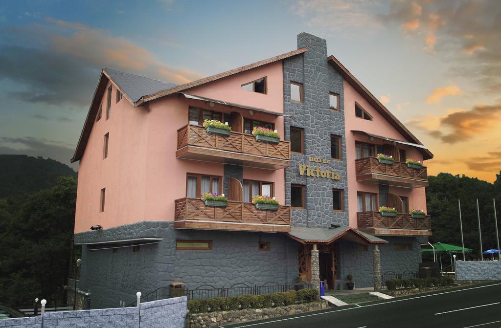 Hotel Victoria Бакуриани Экстерьер фото